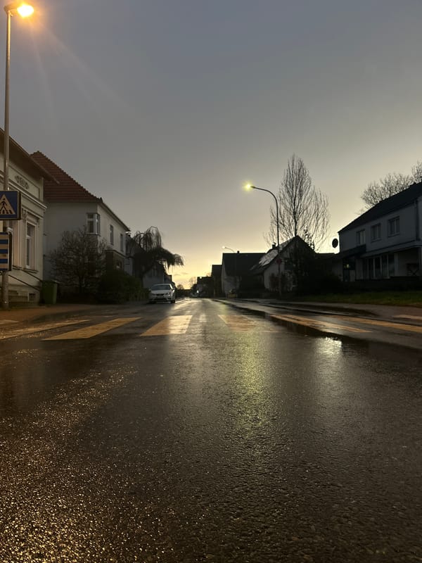 Wet street captured in residential Melle, Germany