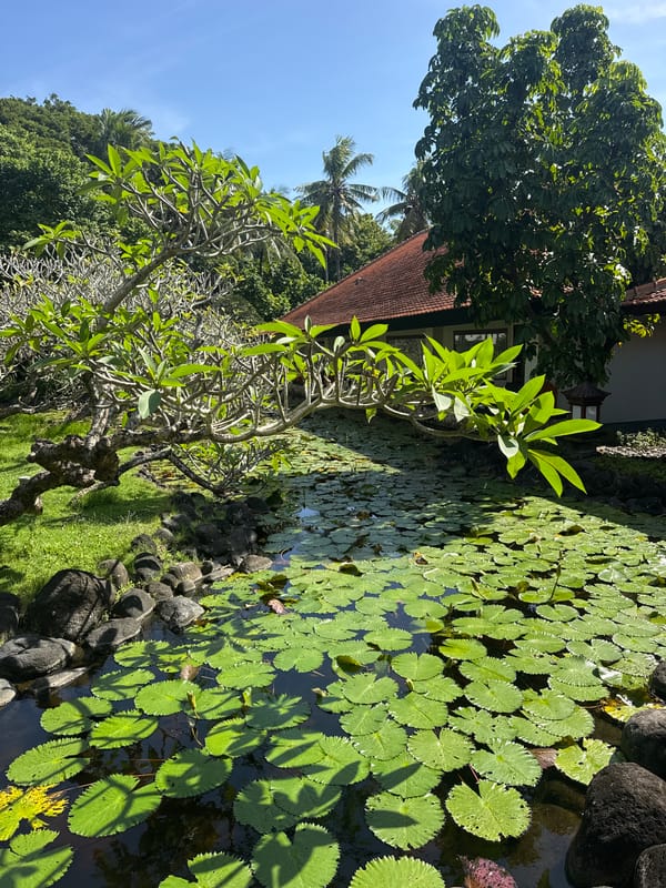 Morning documentation of tranquil garden scene in Kuta Selatan