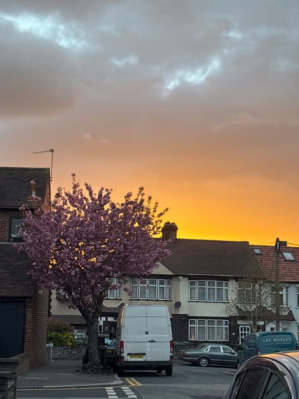 London street scenes captured during dramatic sunset with blossoming tree