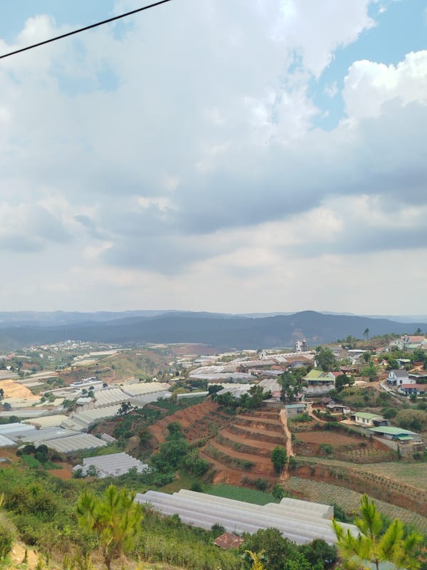 Morning life documented in Đa Thọ farming community