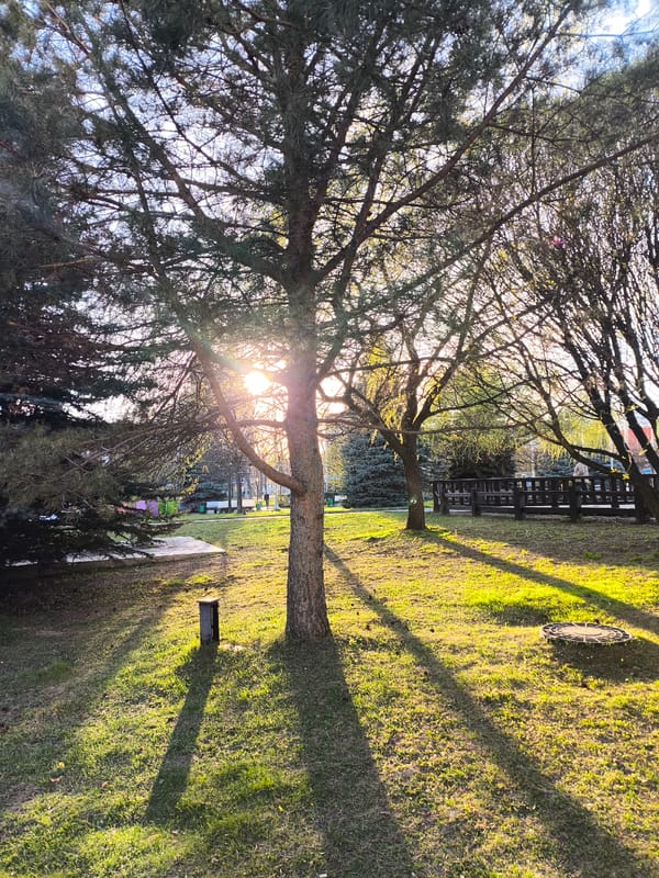 Afternoon stroll captures Moscow's parks, art, and street food