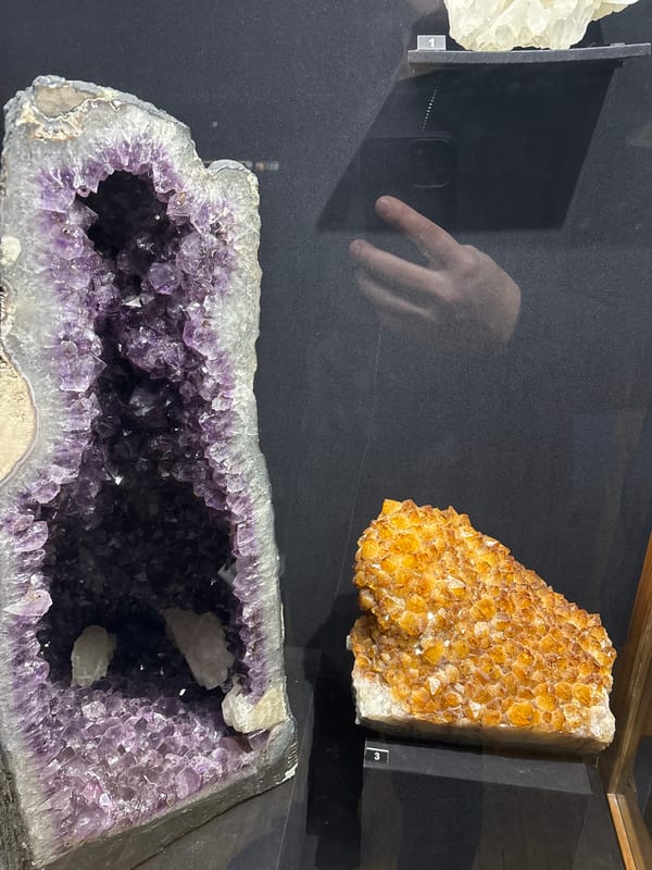Museum visitors document natural history exhibits in Plovdiv