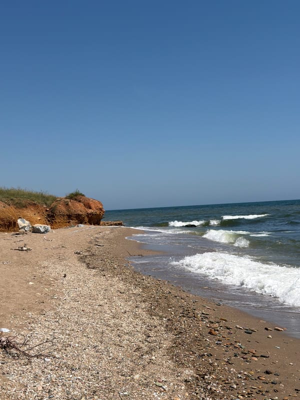 Beach scenes and dead sea turtle documented in Greece