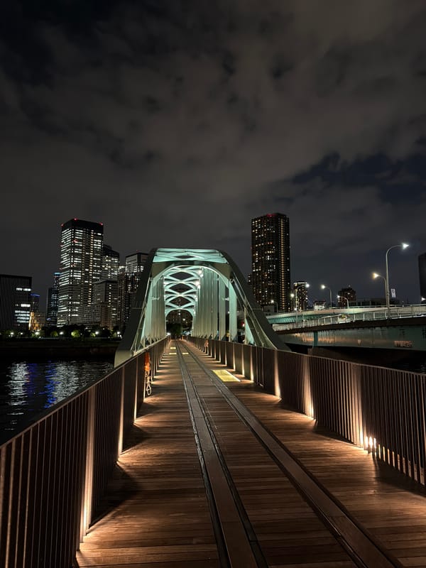 Evening pedestrian activity recorded on illuminated Koto bridge