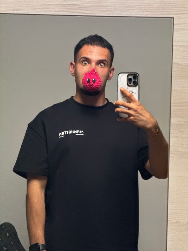 Mirror selfies and pink crocheted toys in Shumen