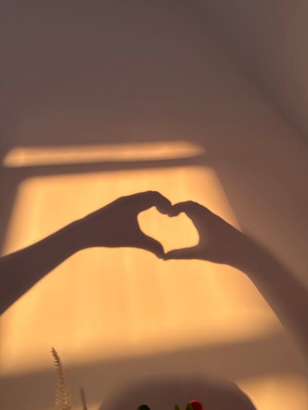 Domestic afternoon captured in Belgrade suburb through intimate moments