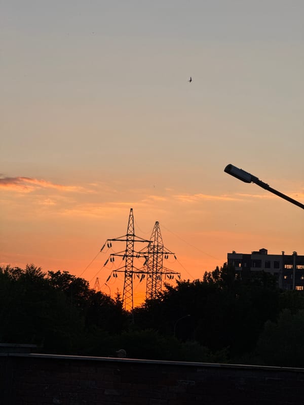 Power lines cut through a warm sunset sky in rural Russia