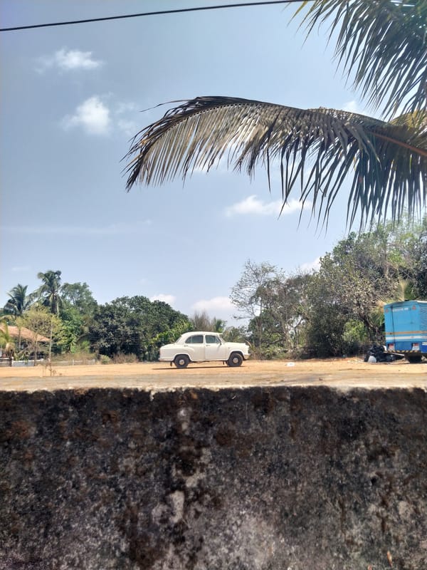 Morning street scenes captured in rural Ucassaim-Moira area