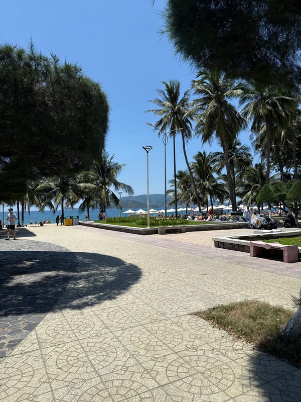 Dawn observation of Nha Trang beachside promenade captured