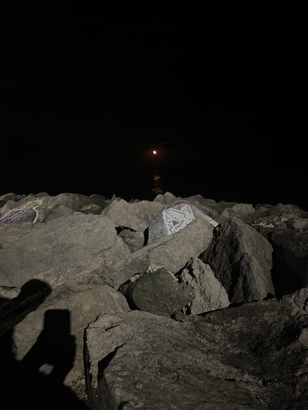 Painted rocks and moonlight along Primorsko's Black Sea shore