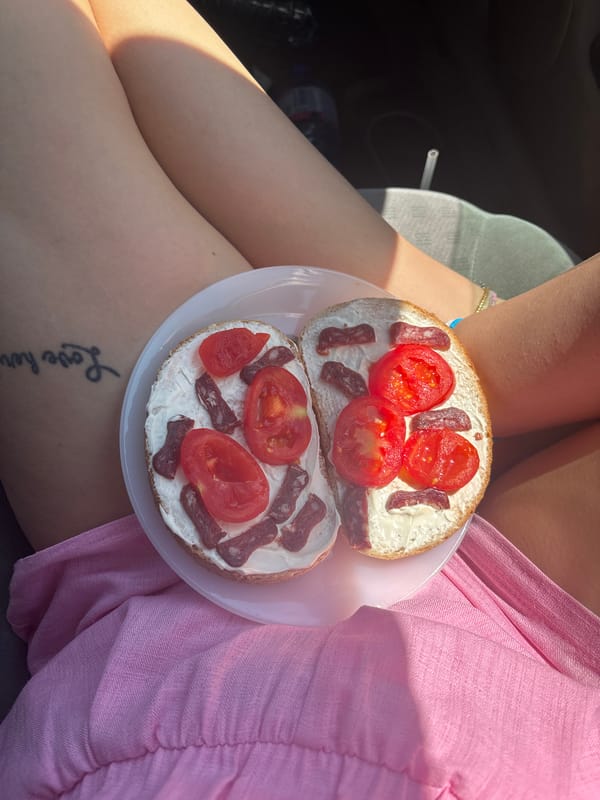 Road trip lunch with dogs captured in Bulgarian countryside