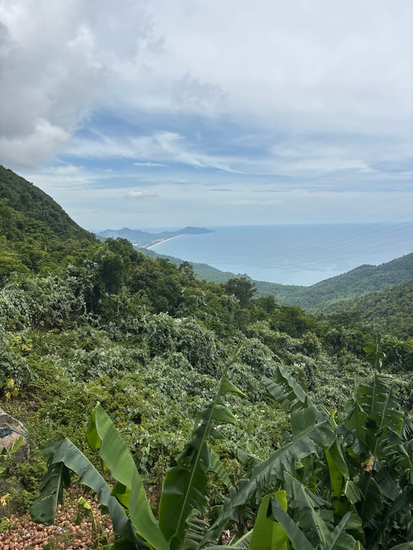 Cow on the Hải Vân Pass road, coastal views, ferry stop