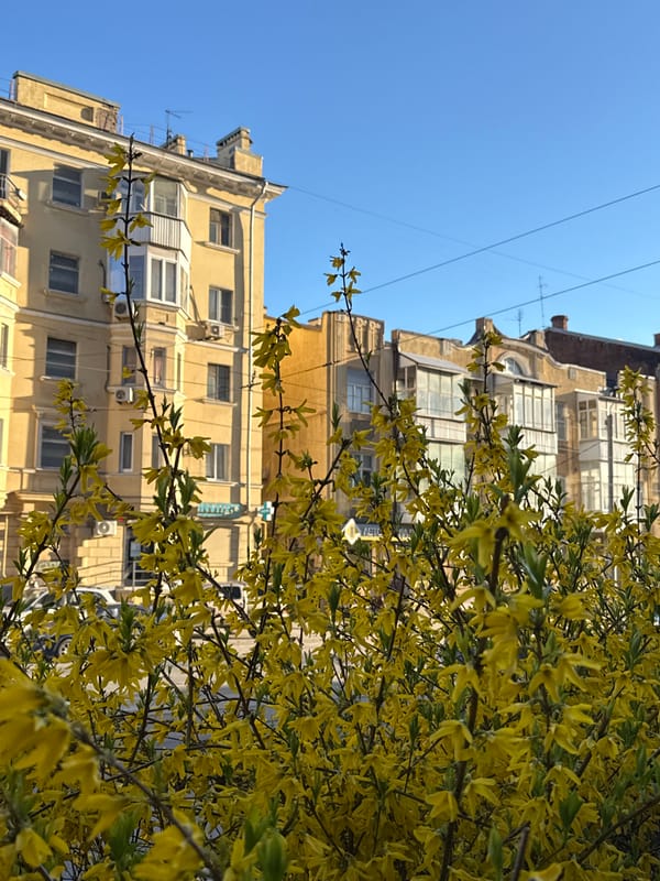 Spring blooms frame urban building in Ovoshchnoy, Russia
