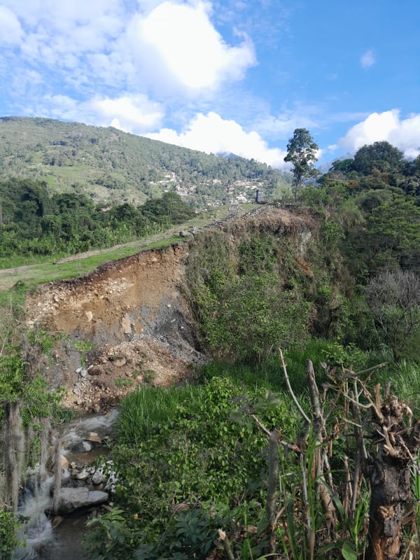 Mountainside vegetation and dirt path observed in Merida, Venezuela