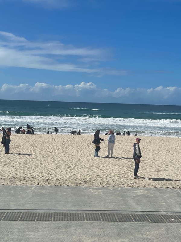 Surfers Paradise beach on a sunny Gold Coast day