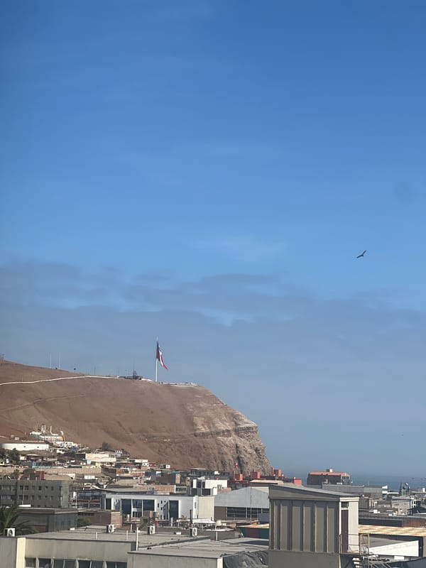 Routine life documented in Arica: cityscape views, hospital cleaning