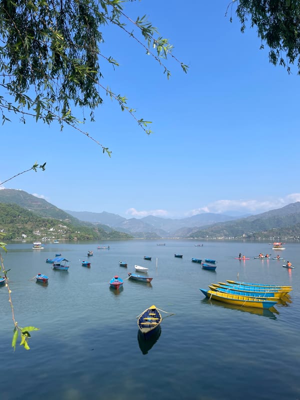 Early morning boat rowing observed on Phewa Lake, Pokhara