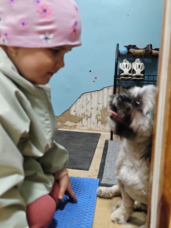 Family enjoys spring outing with dog in Chaikovsky, Russia