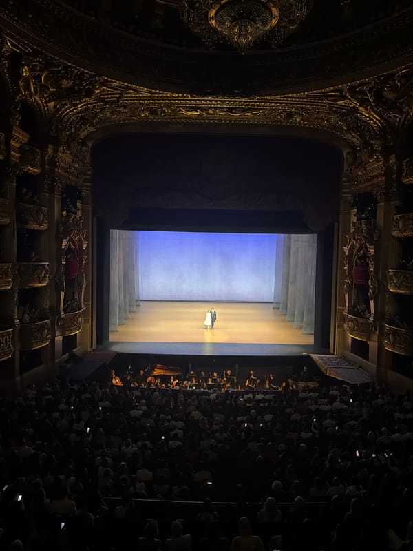 Opera performance ends with curtain call at Palais Garnier