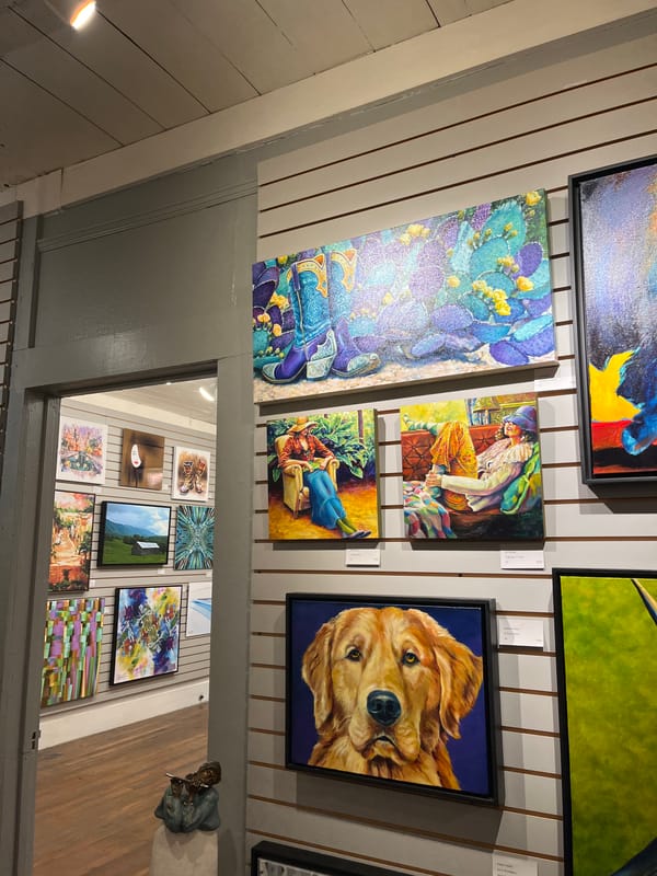 Visitor Documents Shopping Experience in Wimberley Texas Art Galleries