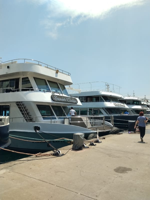 Sunny morning scenes documented across Beşiktaş waterfront and streets