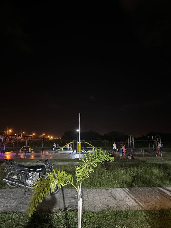 Night market operates in Davao City park area