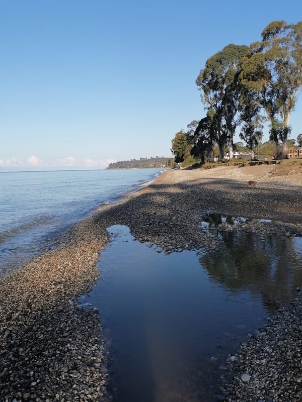 Tranquil morning documented at New Athos beach, Abkhazia coastline