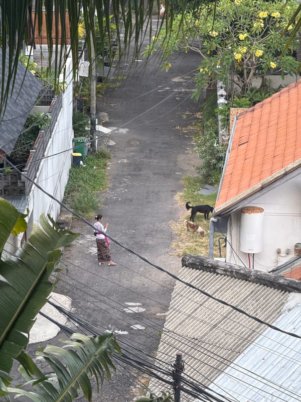 Woman in traditional Balinese dress spotted on Kuta street