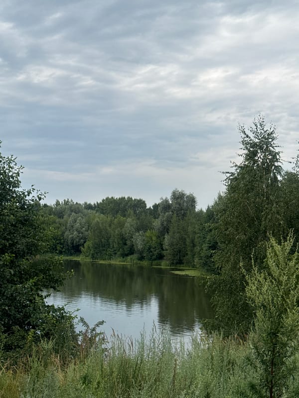 Still water and overcast skies at a forested Nizhny Novgorod shoreline