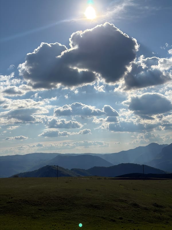 Traveler documents scenic cattle-dotted countryside drive through rural Montenegro