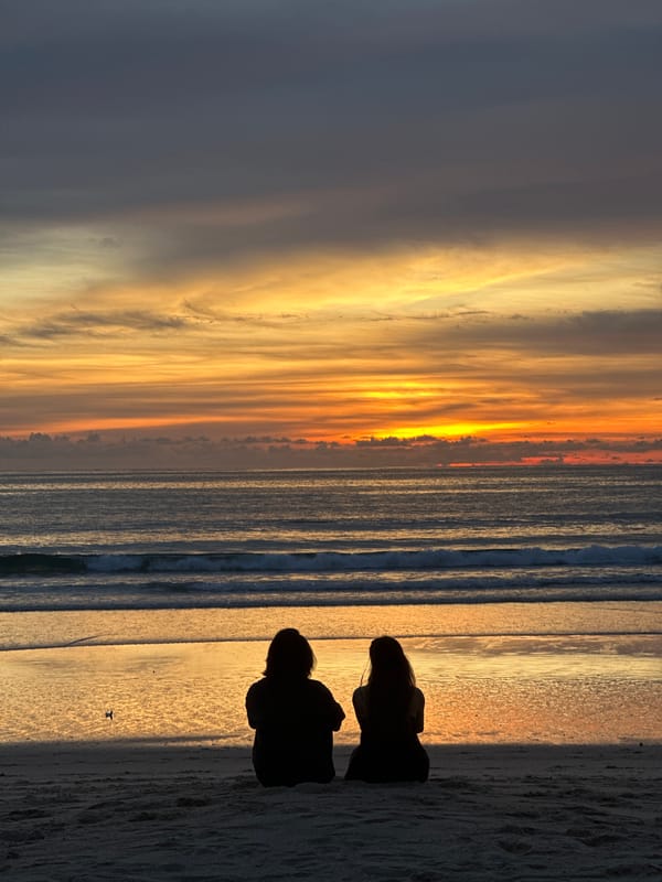 Horses, cats, and golden light at a beach sunset