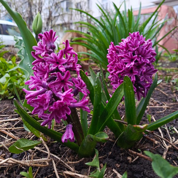 Early morning domestic life documented in Chaikovsky, Russia