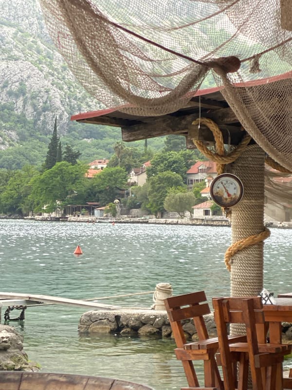 Lakeside dining and wildlife scenes documented in Montenegro village