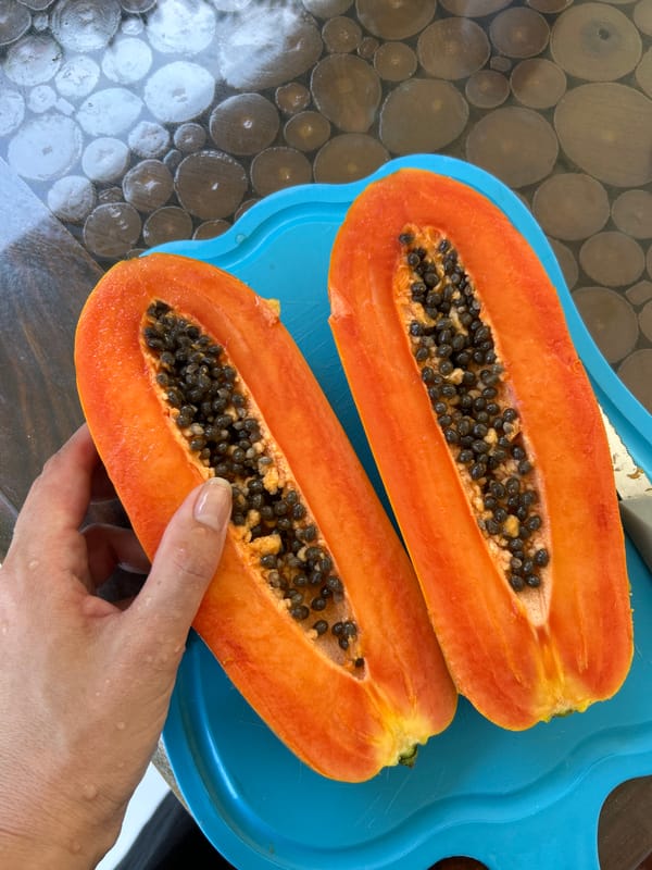 Late night park visit in Kediri captures papaya cutting, traditional gates