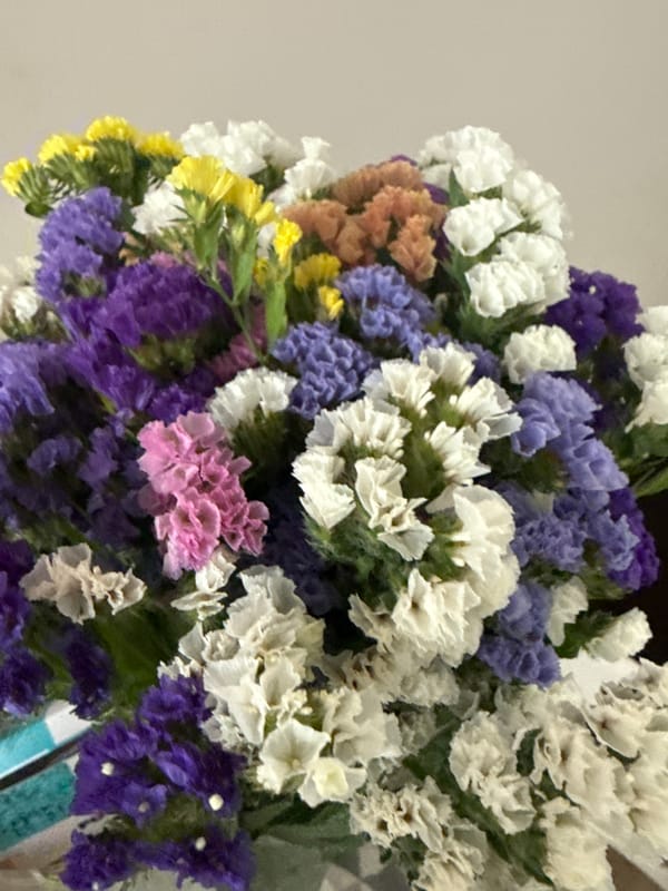 Colorful dried Statice bouquet photographed up close in Sochi