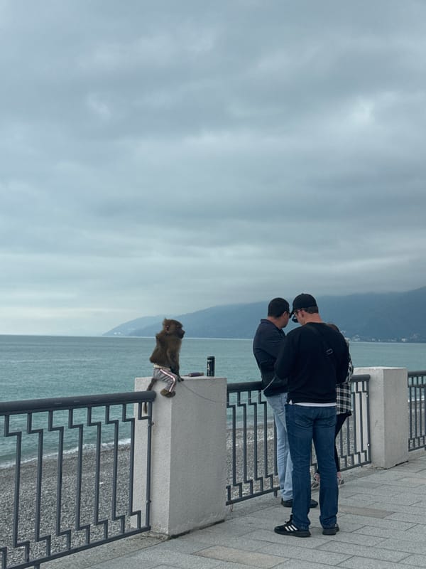 Two men observe seaside view from walkway in Gagra