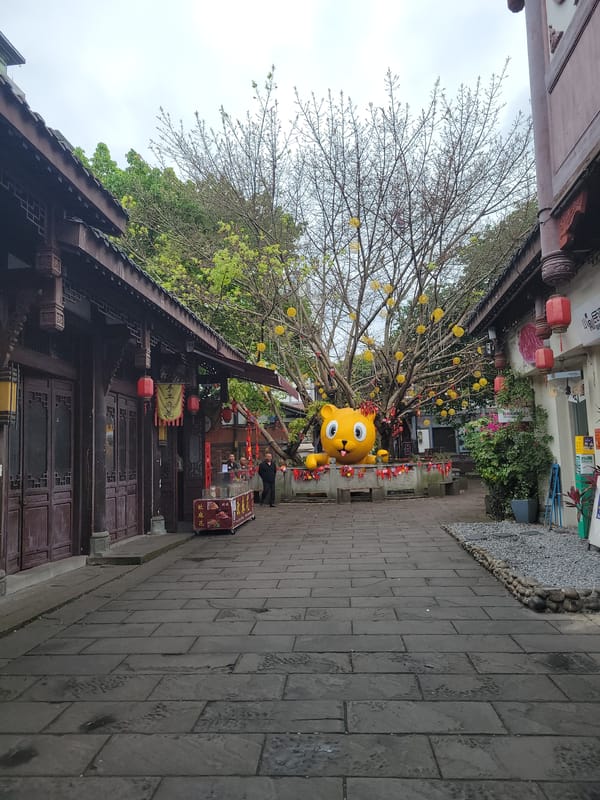 Traditional architecture district documented in early morning Hechuan, China