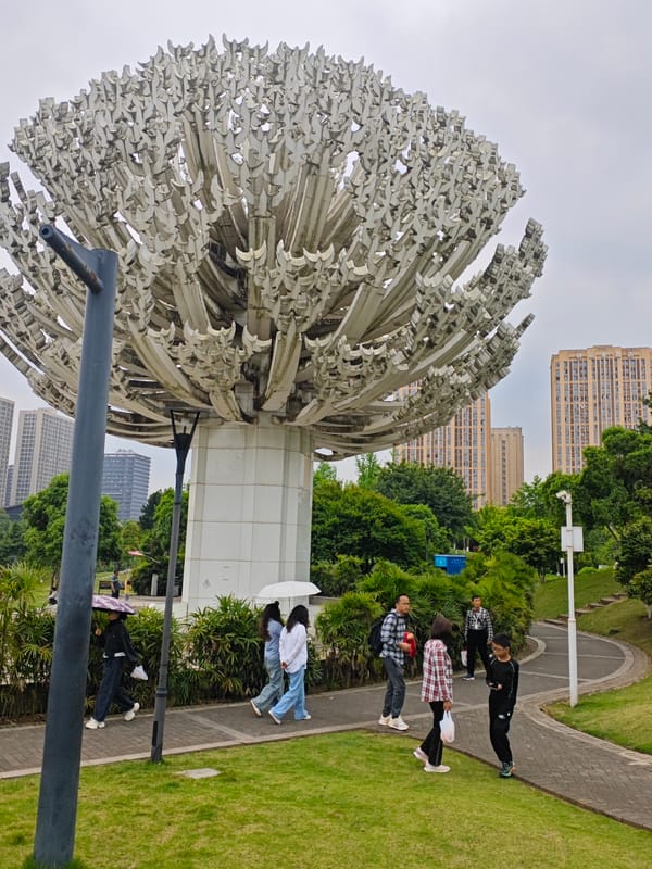 Morning rope jumping activity observed in Chongqing park