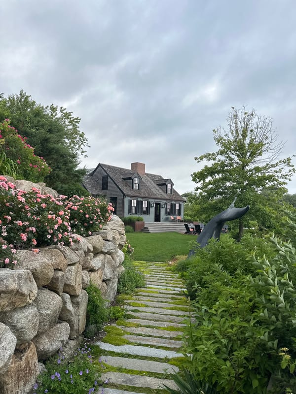 Provincetown gardens and architecture on a summer evening