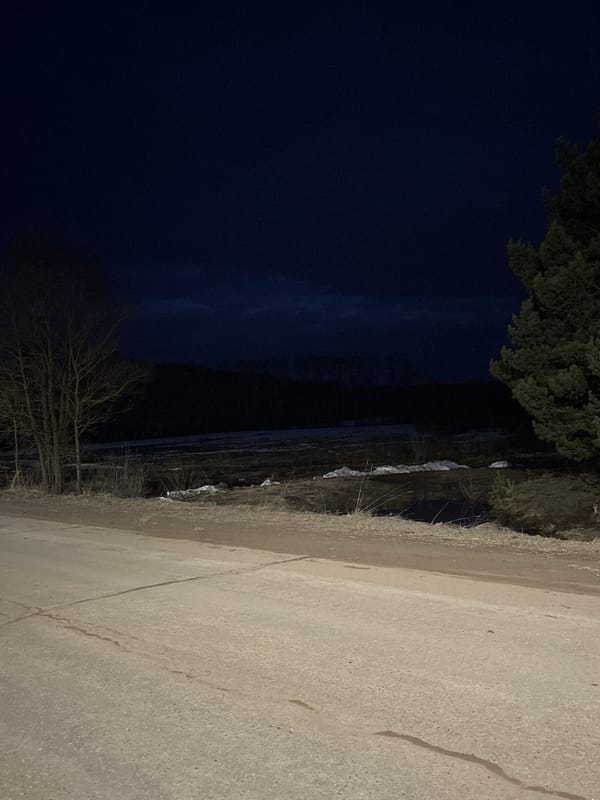Women take nighttime selfies on rural Russian road