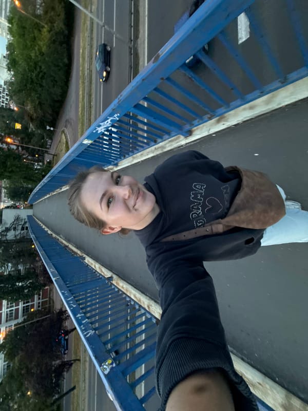Person Takes Selfie on Pedestrian Bridge in Belgrade Suburb
