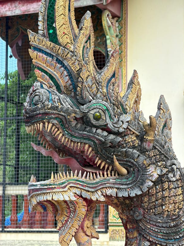 Temple visit and dog walking documented in Chiang Mai