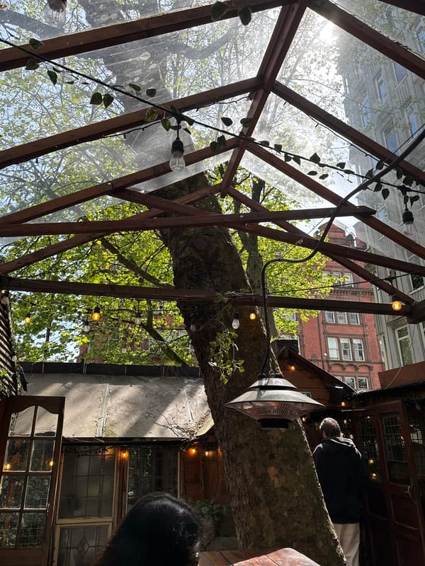 Manchester treehouse gathering captured from unusual angles
