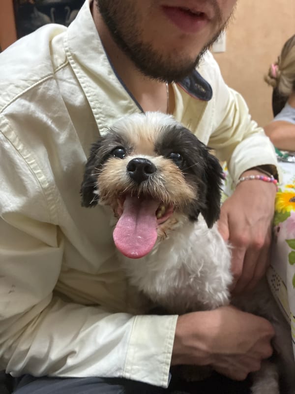 Man holds small fluffy dog in Coatzacoalcos