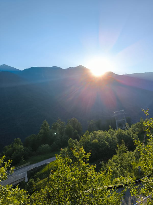 Cat watches Sochi's mountain sunrise from a windowsill