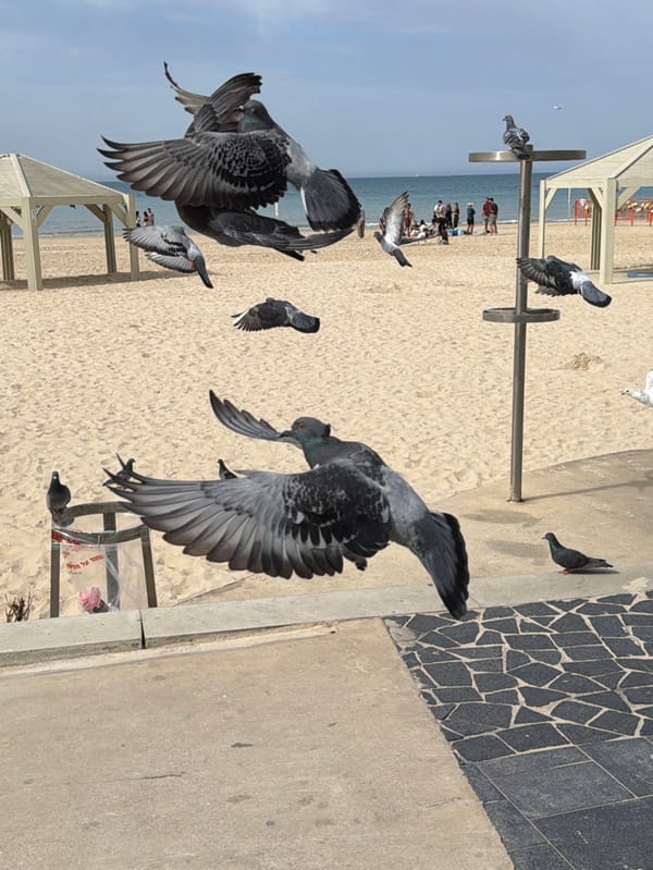 Ordinary beach day unfolds across Tel Aviv waterfront