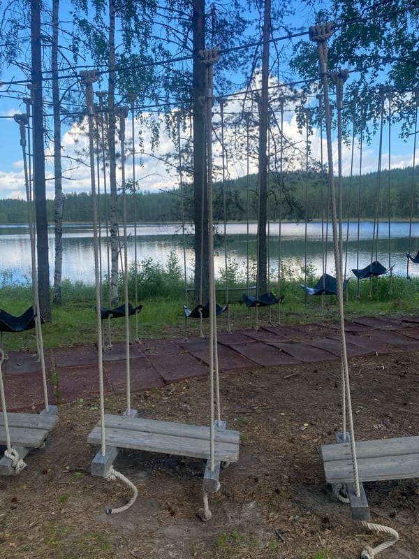 Rope swings and tire swings in a Liperi park