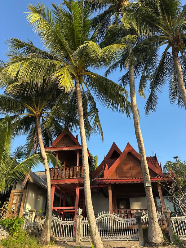Lazy morning under the palms on Ko Samui