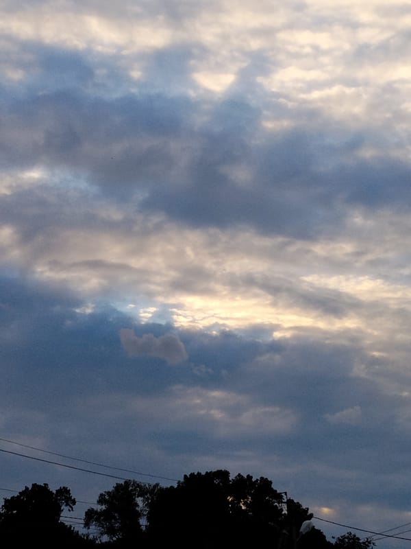 Cloudy evening in a Ukrainian village, gardens and rooftops