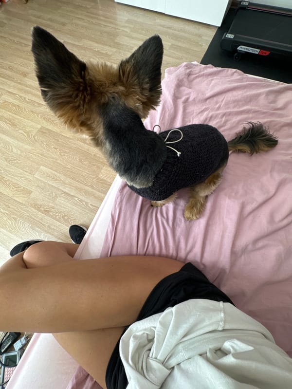 Woman and sweater-wearing dog share cozy Valentine's Day in Saint Petersburg